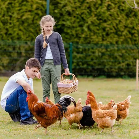 Gaestezimmer Hambammer Heimschuh