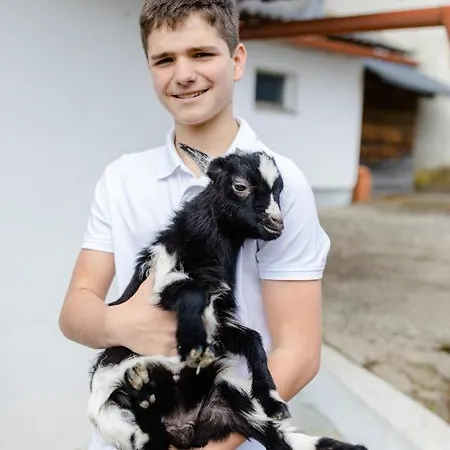 Апартаменты Gaestezimmer Hambammer