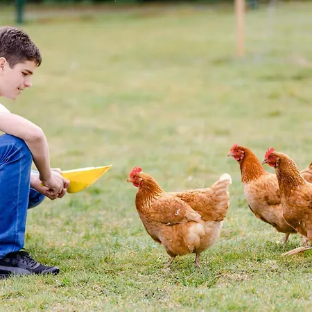 Gästezimmer Hambammer Apartment *