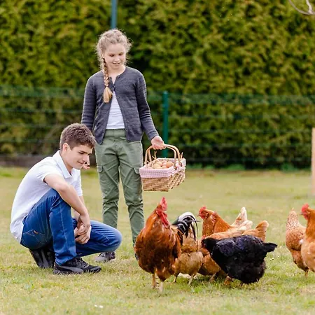 Апартаменты Gaestezimmer Hambammer