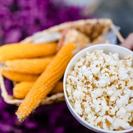 Apartment Gästezimmer Hambammer