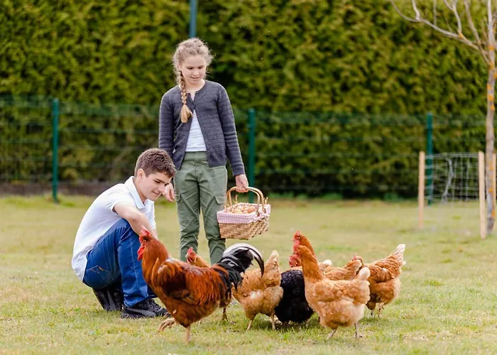 Gaestezimmer Hambammer Heimschuh