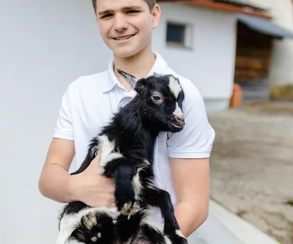 Daire Gaestezimmer Hambammer