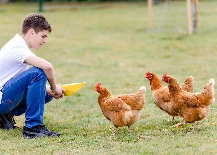 Gaestezimmer Hambammer Daire *