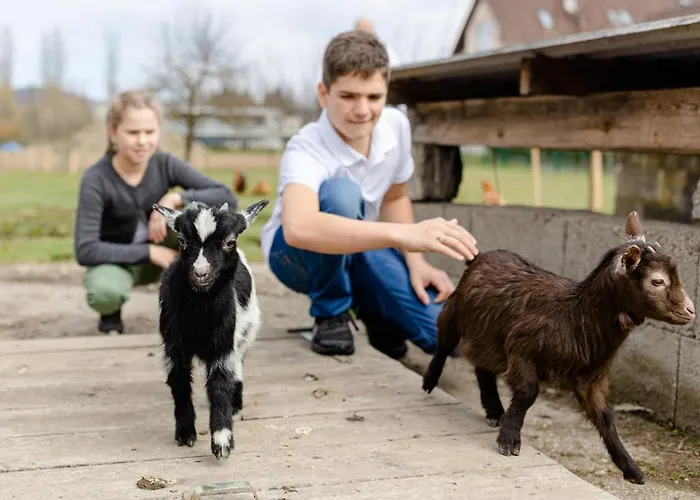 Gaestezimmer Hambammer Apartamento