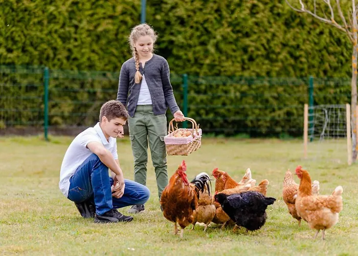 公寓 Gaestezimmer Hambammer