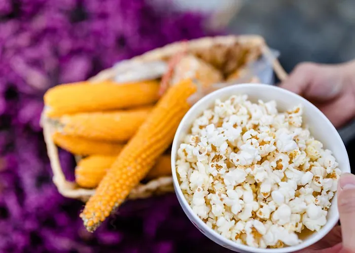 Daire Gaestezimmer Hambammer